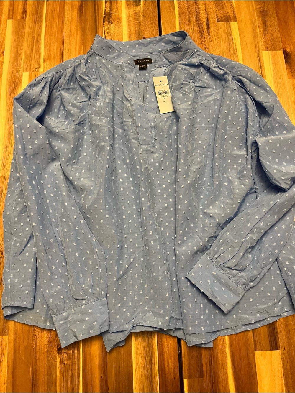 Ann Taylor Sky Blue Swiss Dot V-Neck Blouse